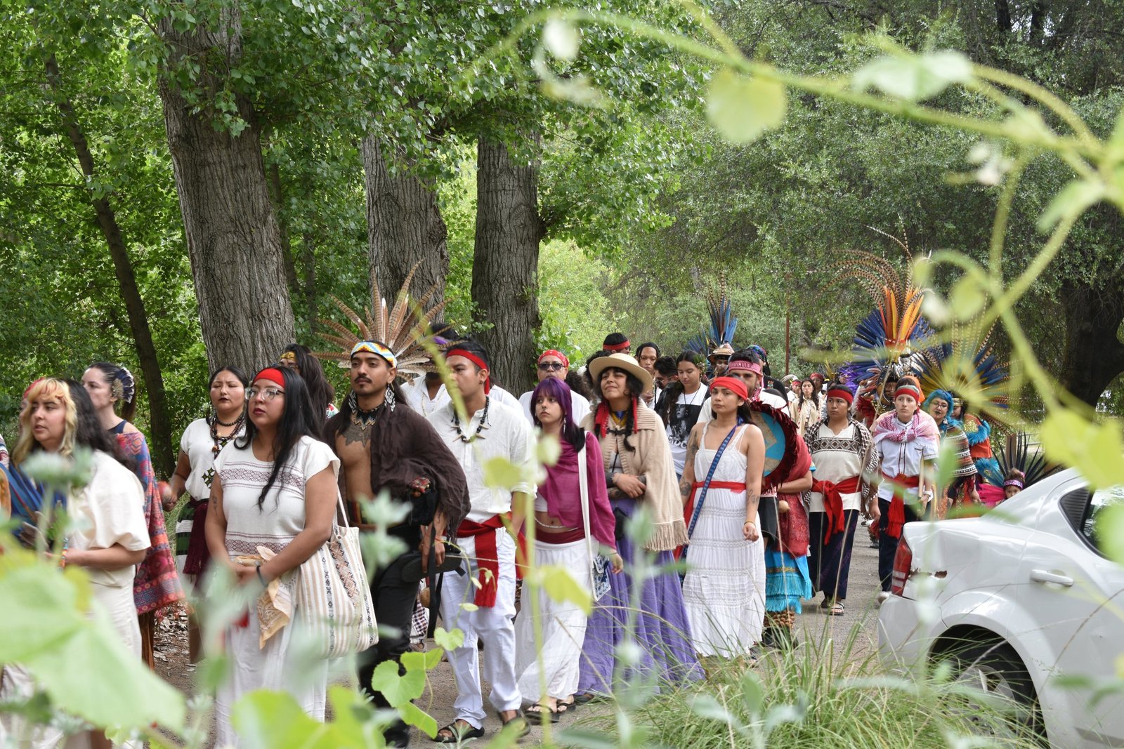 Community procession moving through a wooded ceremonial ground.